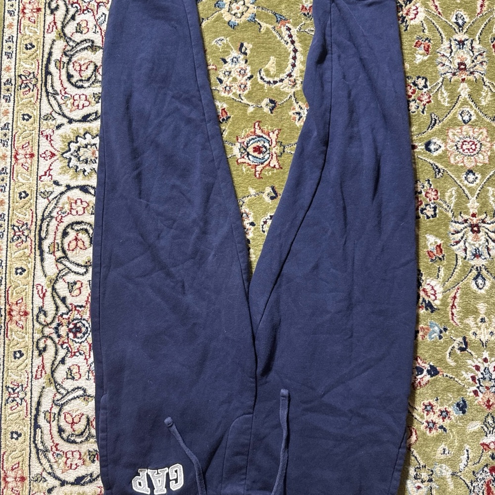 GAP Dark Blue Casual Pants